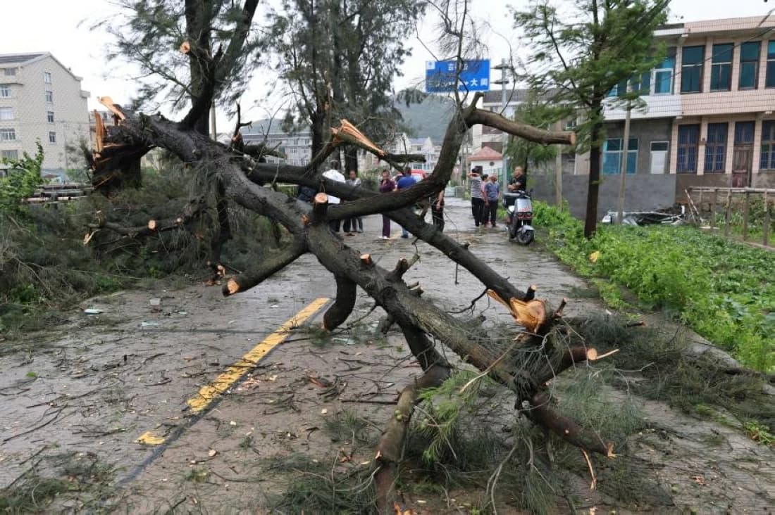 Typhoon Bavi evacuates two million people in China and threatens the economy
