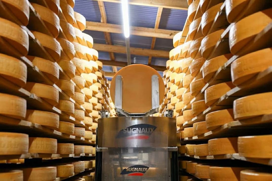 Trump tariffs impact Swiss cheese exports