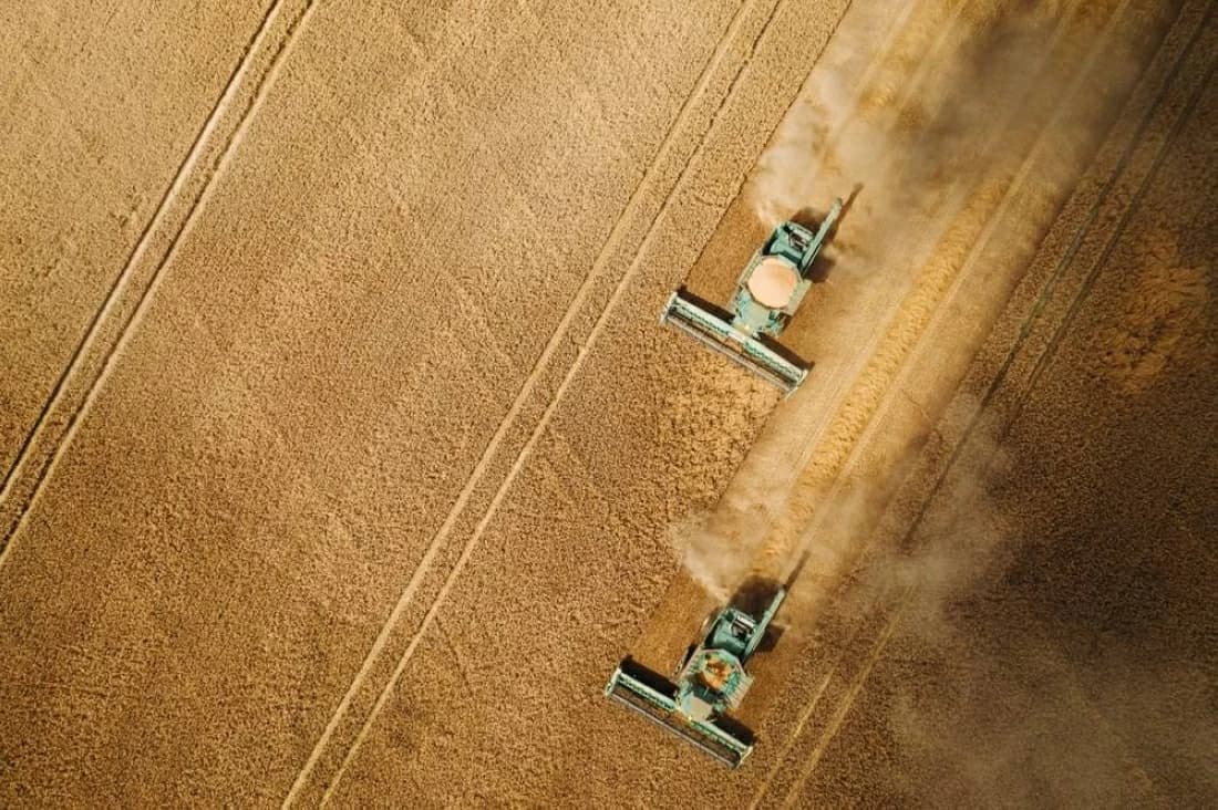 Ukraine looks for grain export options