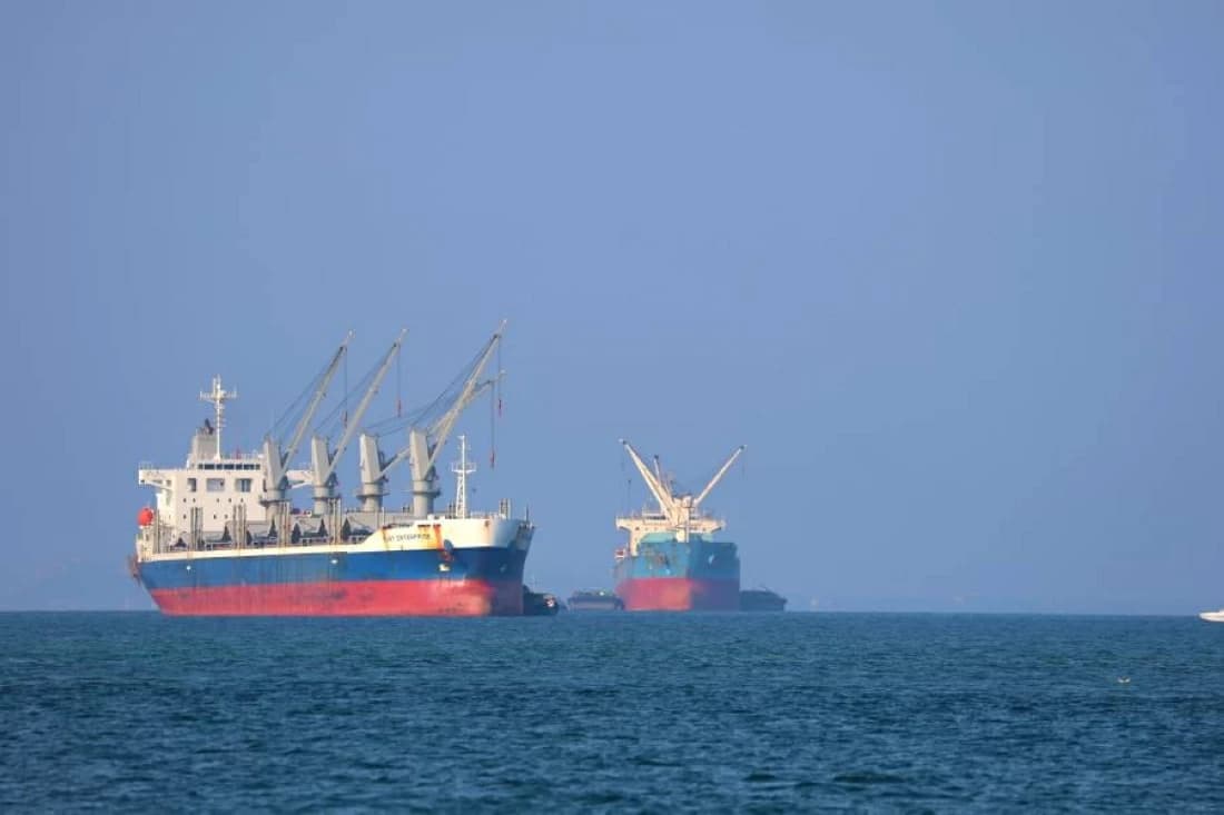 Ukraine's food exports face decline