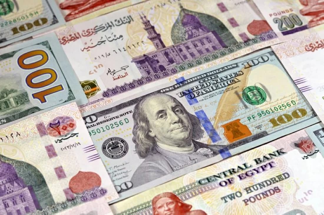 Egyptian pound weakens on August 11