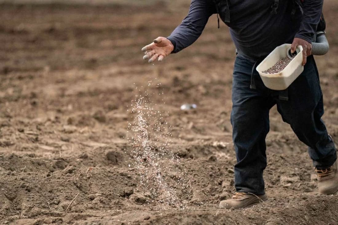 شركات الأسمدة بمصر تحقق مكاسب من أزمة الشرق الأوسط