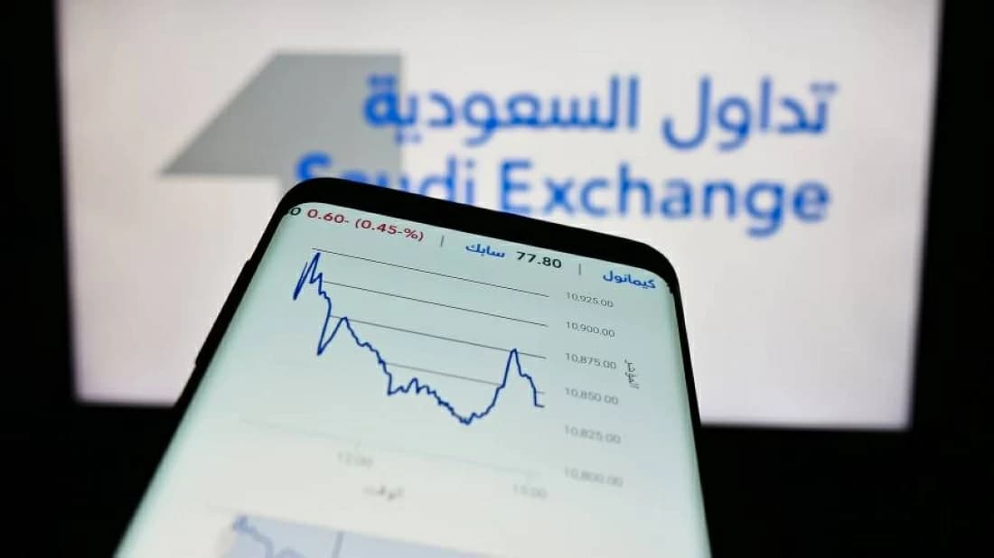 Saudi stocks halt over tech glitch