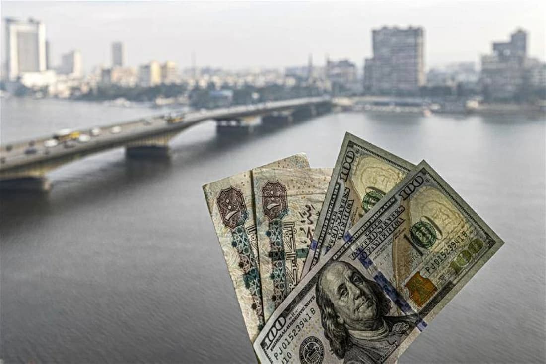Egypt dollar rate before CBE meeting