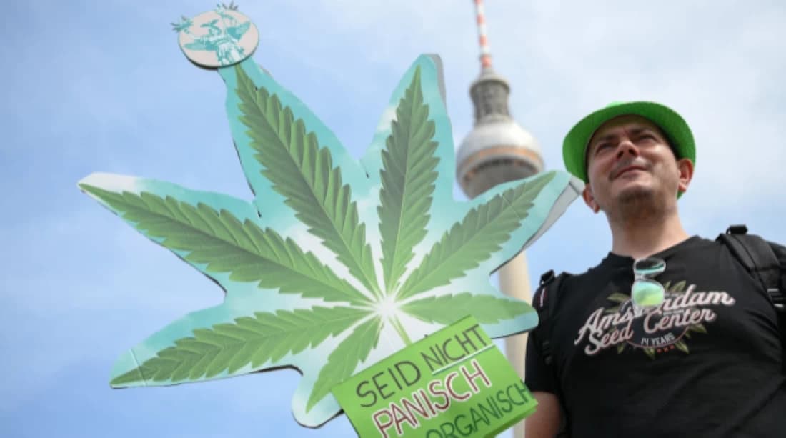 Germany's emerging cannabis hub