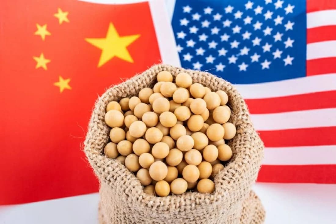 China purchases million tons of US soybeans before Xi's visit