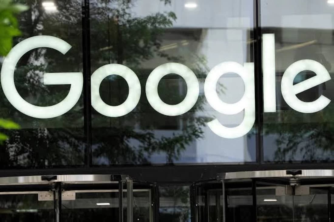 Google and McKinsey fund Brazil carbon removal