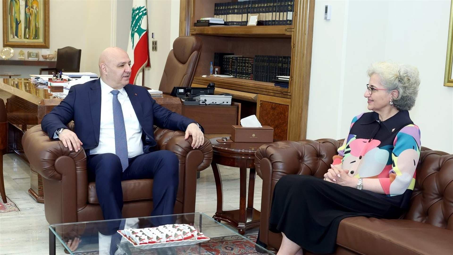 Karami submits development plan to President Aoun