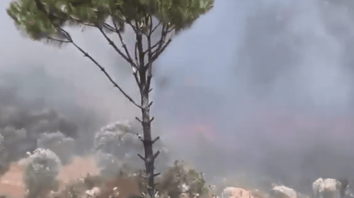 Major blaze erupts in Ain Jirfa forest