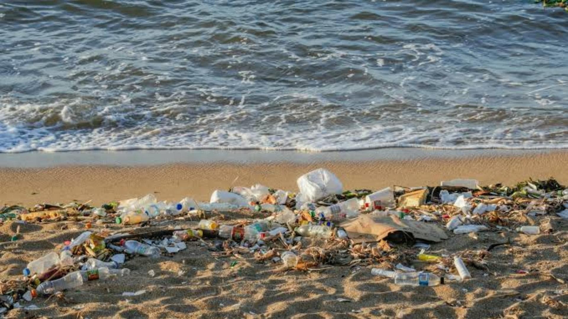 Civil Defense oversees coastal cleanup efforts