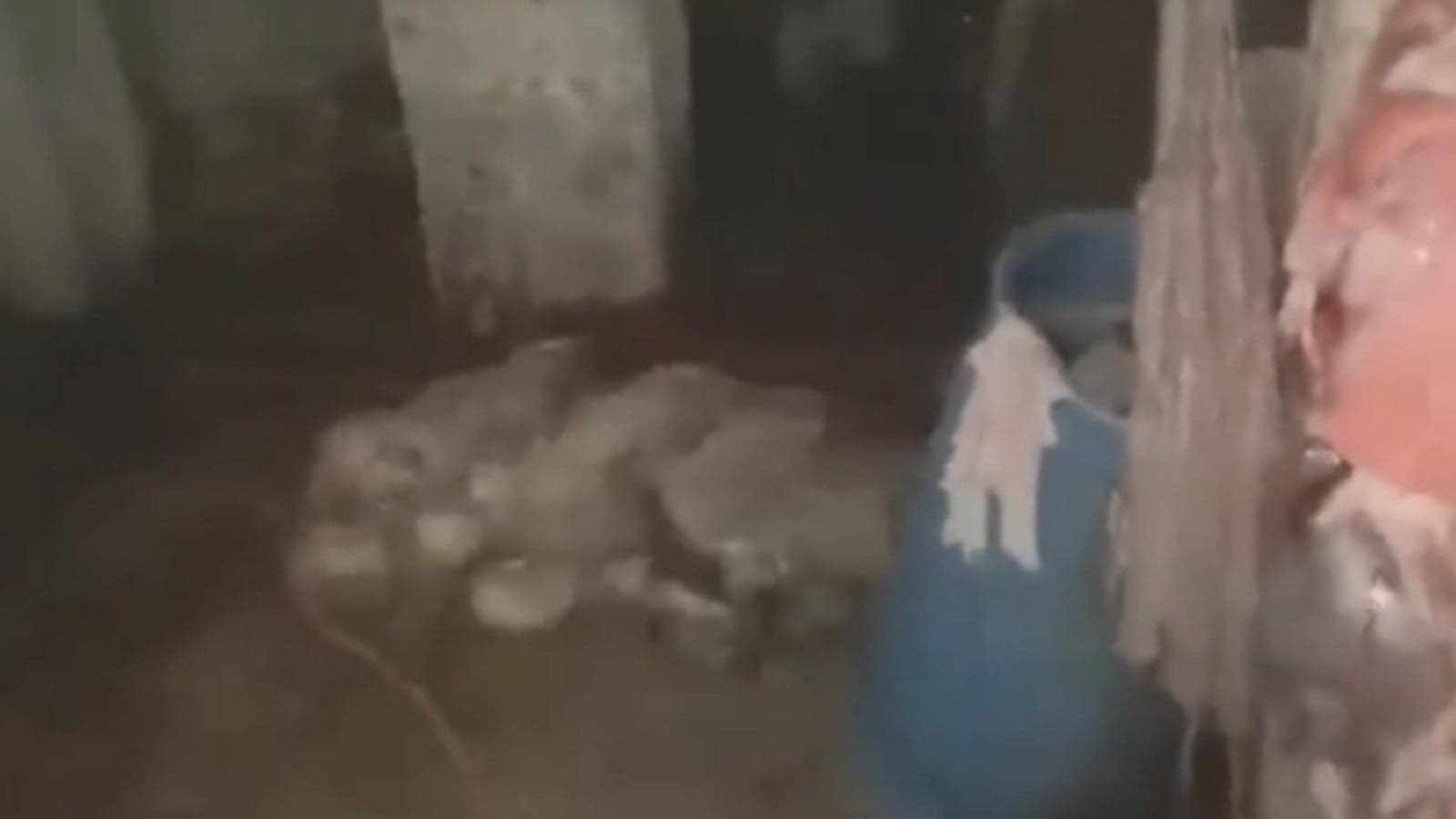 مشاهد مفاجئة من مسالخ اللحوم
