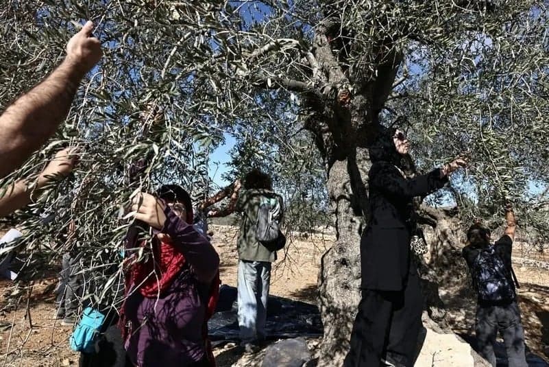 Lebanese Army Supports Rachaya Farmers