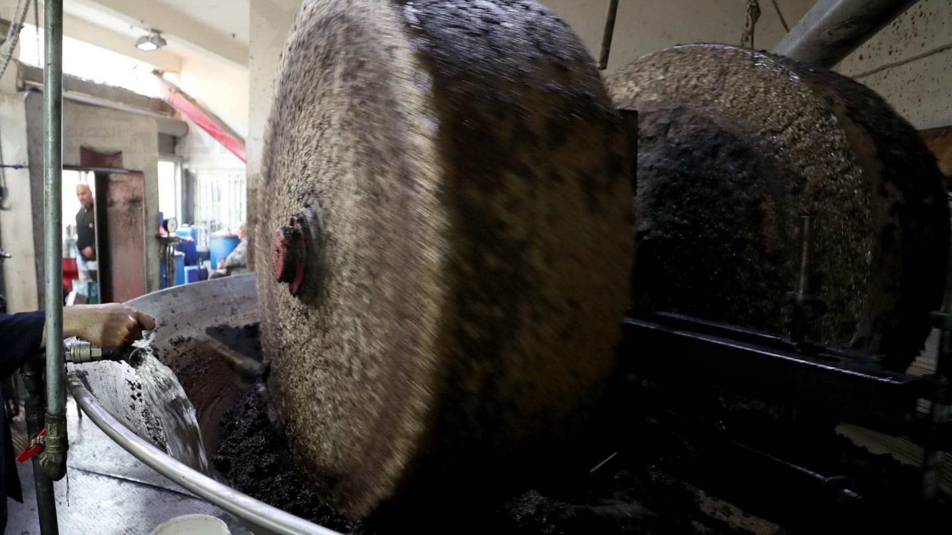 Industry Minister sets olive waste rules