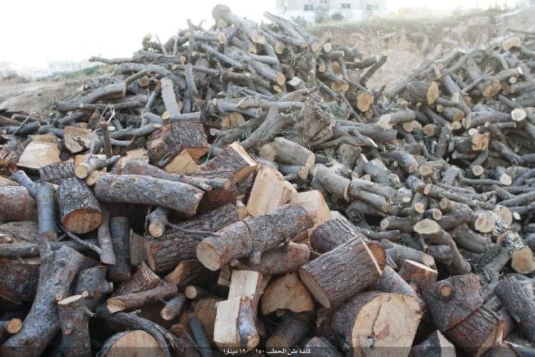 مأمور أحراج يساند تجار الحطب