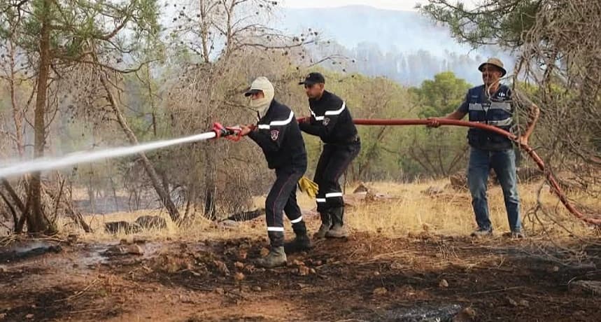 Ongoing firefighting and improved coordination