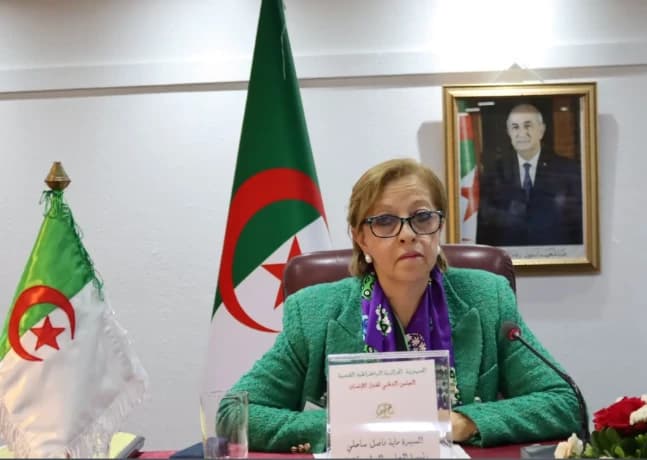 Sahli Meets African Women’s Network Delegation