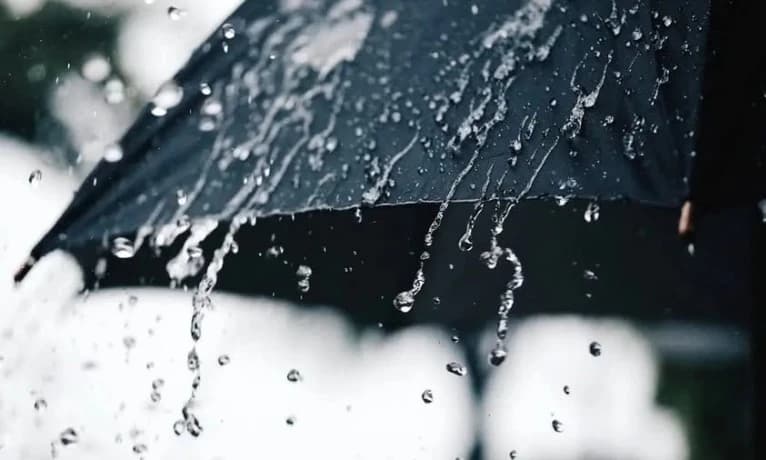 Rain forecast for southern region today