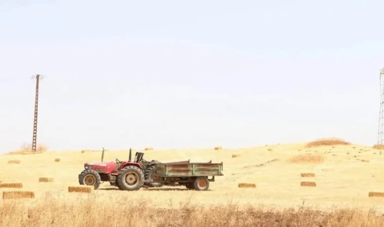 Field measures support harvest progress