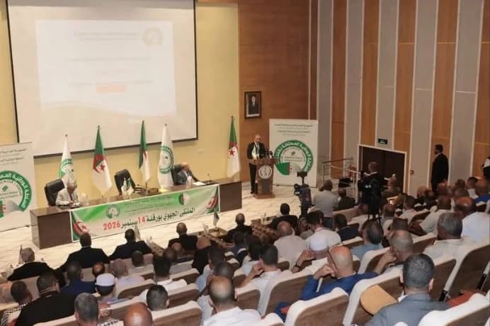 Ouargla bride leads regional election prep
