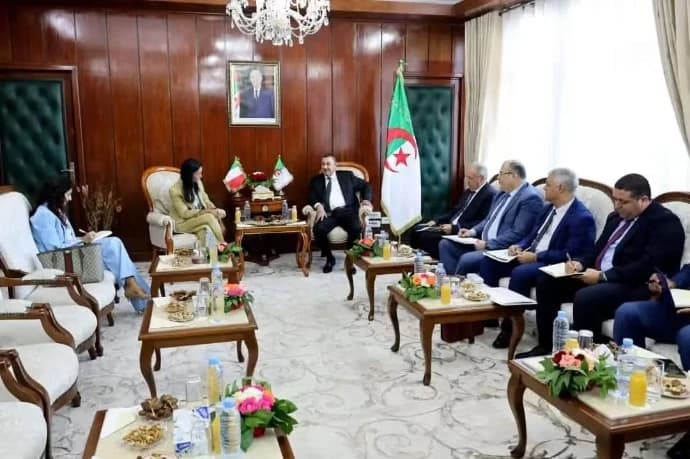 وزير الداخلية يلتقي سفيرة إيطاليا