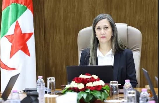 People's Assembly prioritizes Vice President duties