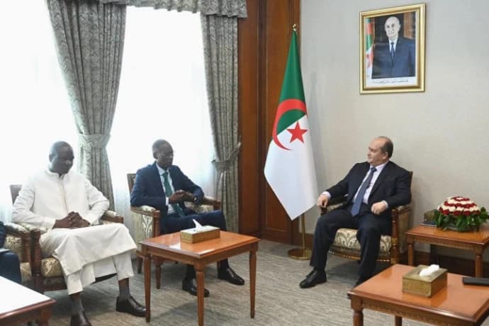Senegal Foreign Minister Encounters Strange Sword