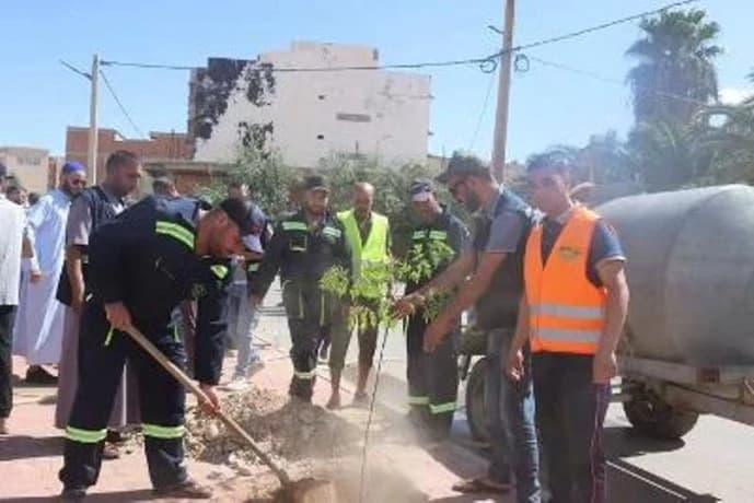 Gharss Volunteers Plant 850 Saplings