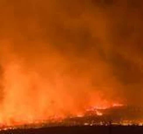 جهود لإخماد حريق غابة سيدي مرزوق