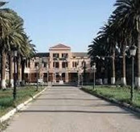 Sir Blida registration on Proto Market