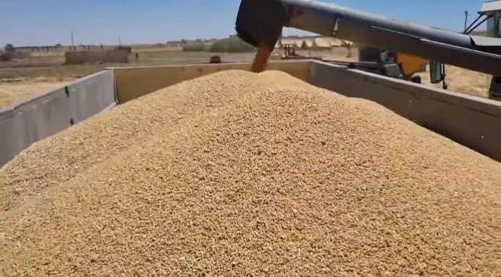 Tiaret emphasis on farming inputs for next season