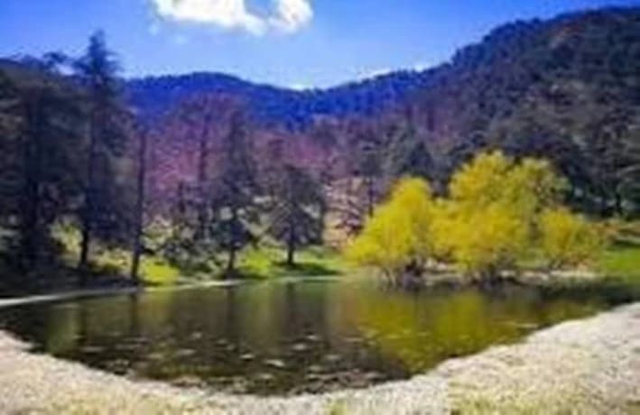 Tamessilet expects youth camp opening at year's end