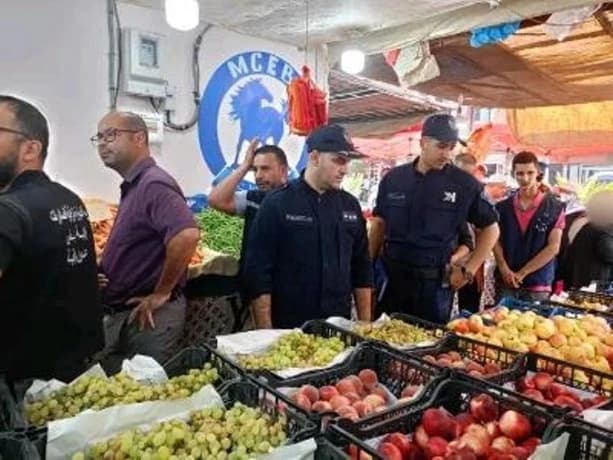 Eggs monitored through field inspection