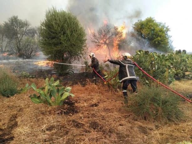 Camp deploys 3 aircraft to fight Nasmot fire