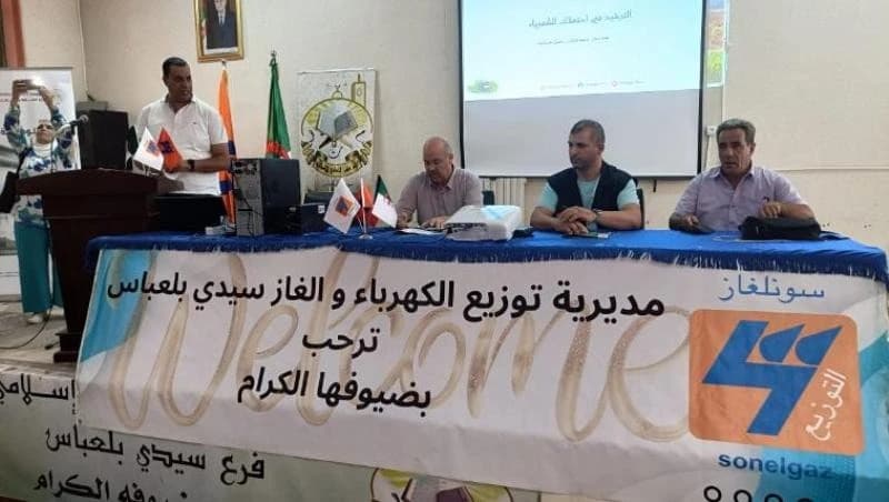 Sir Abdelbas leads energy-saving awareness day