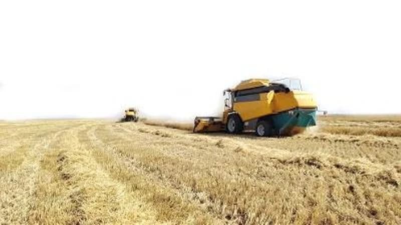 Sir Blida produces over 1.2 million quintals of grains