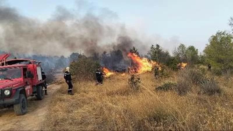 Tissemselt: Forest Fires Extinguished in 49 Civil Protection Operations