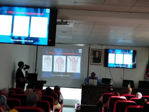 Arab Pediatric Surgery Conference prep: 5 reproductive surgeries