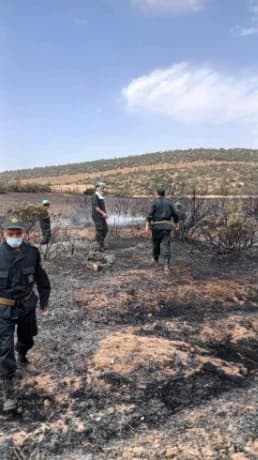 Camp efforts continue to control Nesmat and Maqda fires