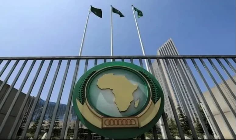 Algeria leads Africa's governance talks
