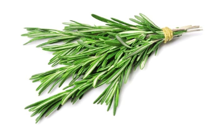 Reasons for Consuming Rosemary