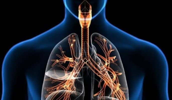 Breathing habits and body stress