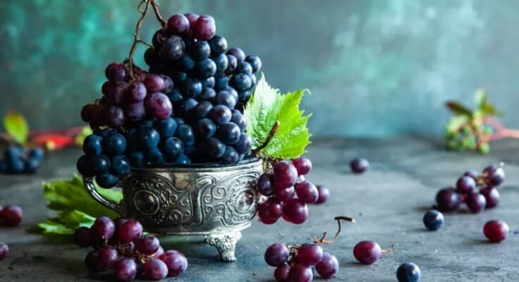 العنب الأسود وفوائده الغذائية