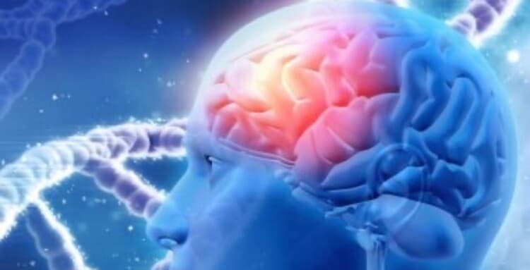 Daily habit to boost brain health