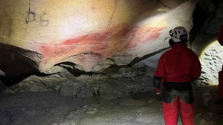 Scientists recover ancient DNA from early cave painters