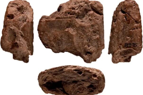 Archaeological Find Challenges Ashur King History