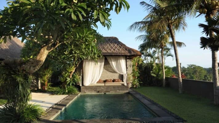 Tourist sets villa on fire to remove spider