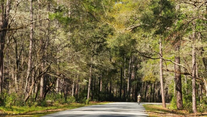 Exploring Florida's top natural springs