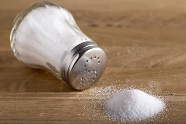 Excess Salt Affects Memory