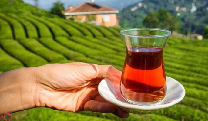 Tea drinking methods and health effects