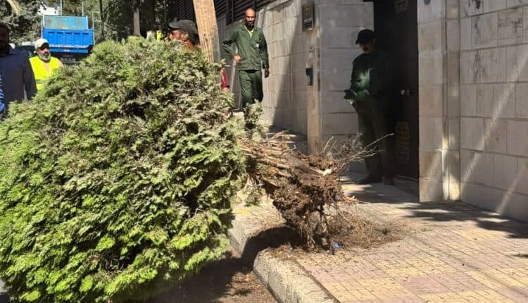 أمانة عمان تستمر في تطوير الأرصفة